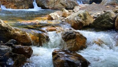 Para qué sirve el agua alcalina